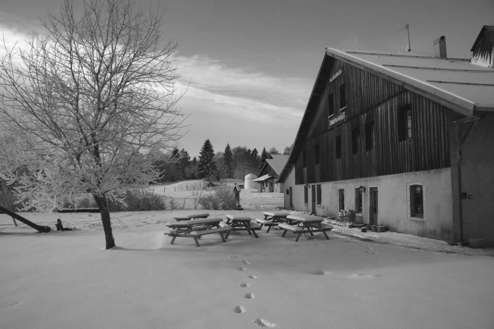 Auberge De La Perdrix Hauterive-la-Fresse Экстерьер фото